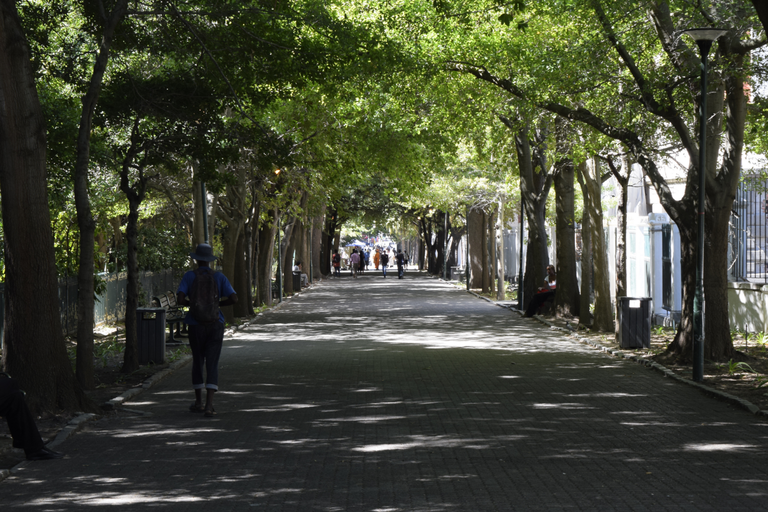 Company Garden's, Cape Town