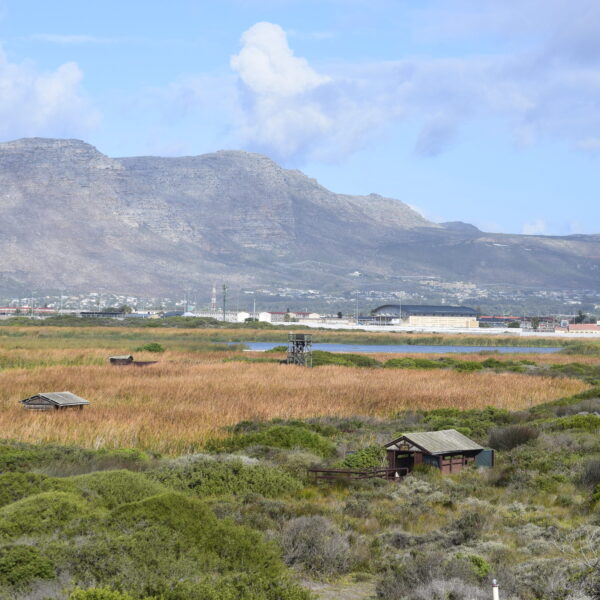 Rondevlei Nature Reserve