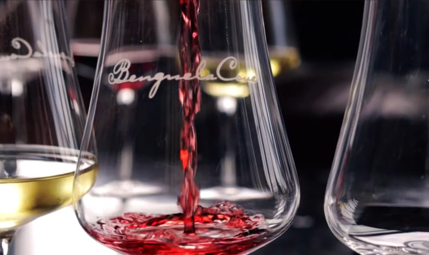 Benguela Cove Wine Tasting Experience
