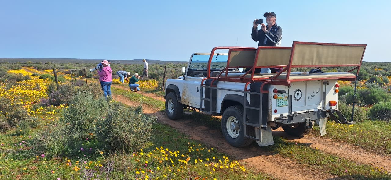 4-Day Wildflower Tour at Papkuilsfontein Farm featuring vibrant Namaqualand wildflowers, scenic landscapes, and unique farm experiences 4-Day Wildflower Tour at Papkuilsfontein Farm featuring vibrant Namaqualand wildflowers, scenic landscapes, and unique farm experiences