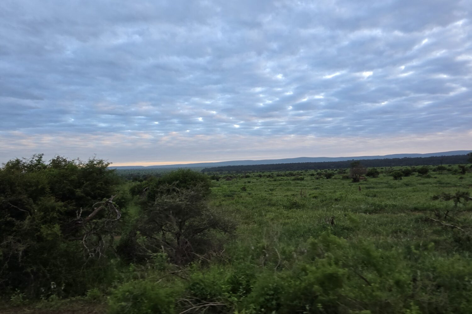 Kruger National Park