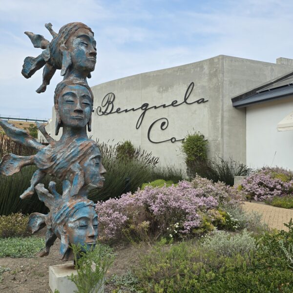 Luxury wine estate at Benguela Cove Lagoon Wine Estate with waterfront views, vineyards, and mountain backdrop near Cape Town.