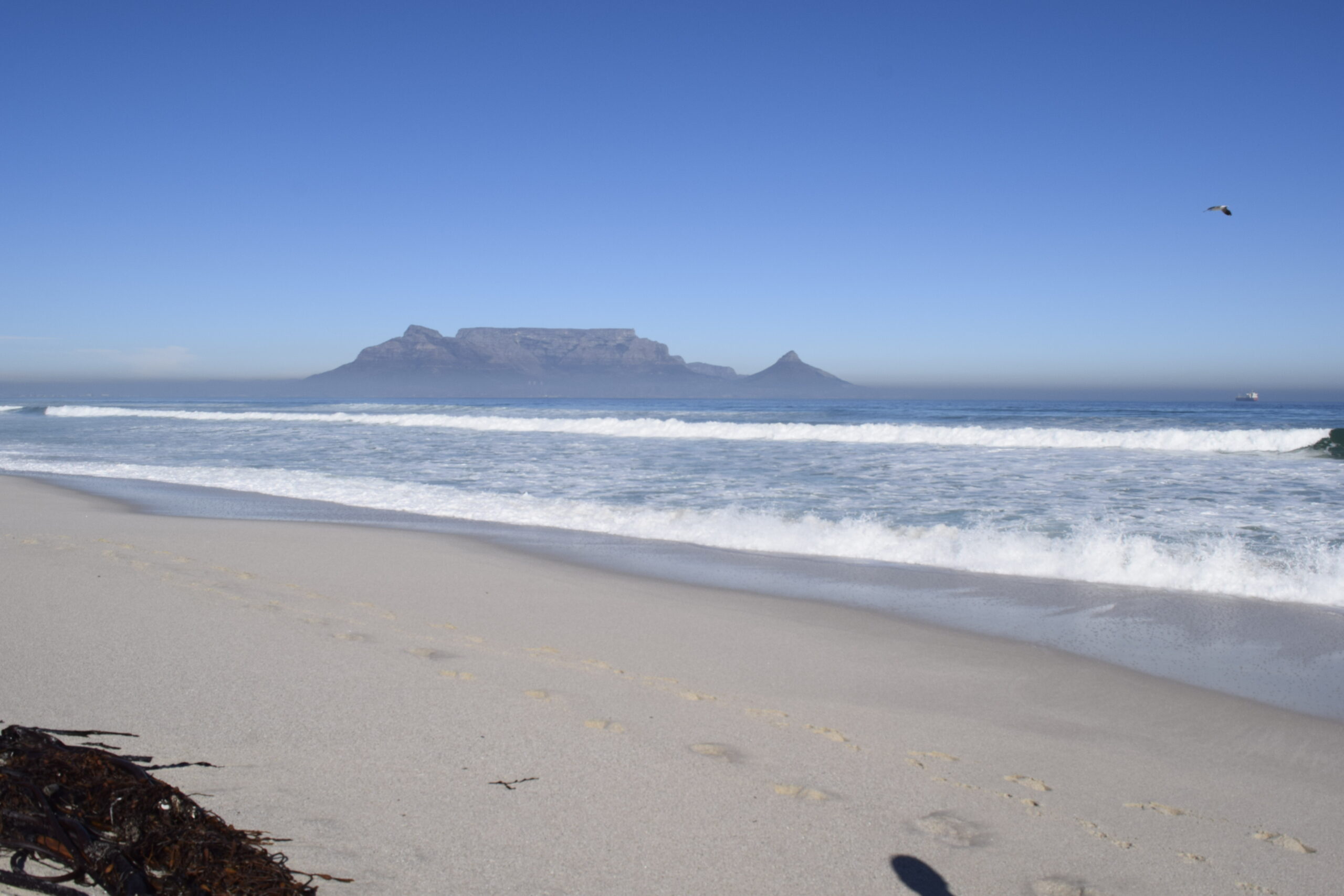 Panoramic view of Table Mountain from Bloubergstrand Beach in Cape Town, South Africa, with the Atlantic Ocean and iconic city skyline Panoramic view of Table Mountain from Bloubergstrand Beach in Cape Town, South Africa, with the Atlantic Ocean and iconic city skyline