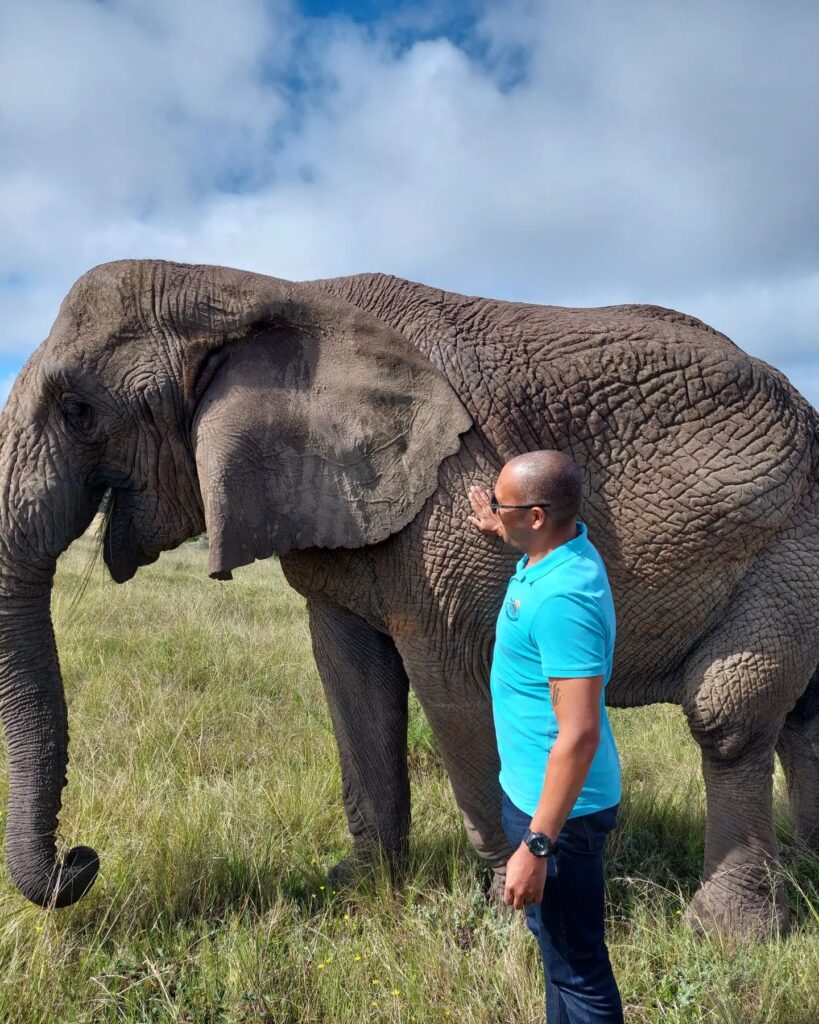 The Best South Africa Safaris and Tours: From Bush to Beach